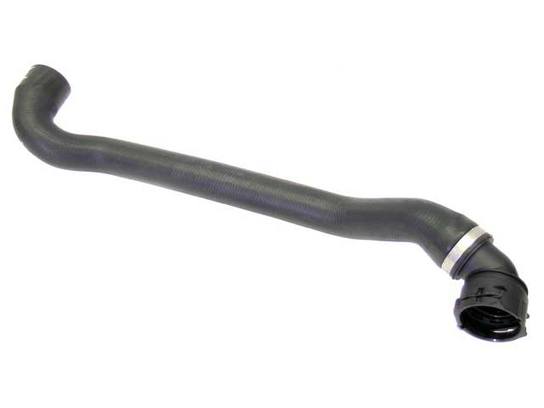 Radiator Hose - Lower